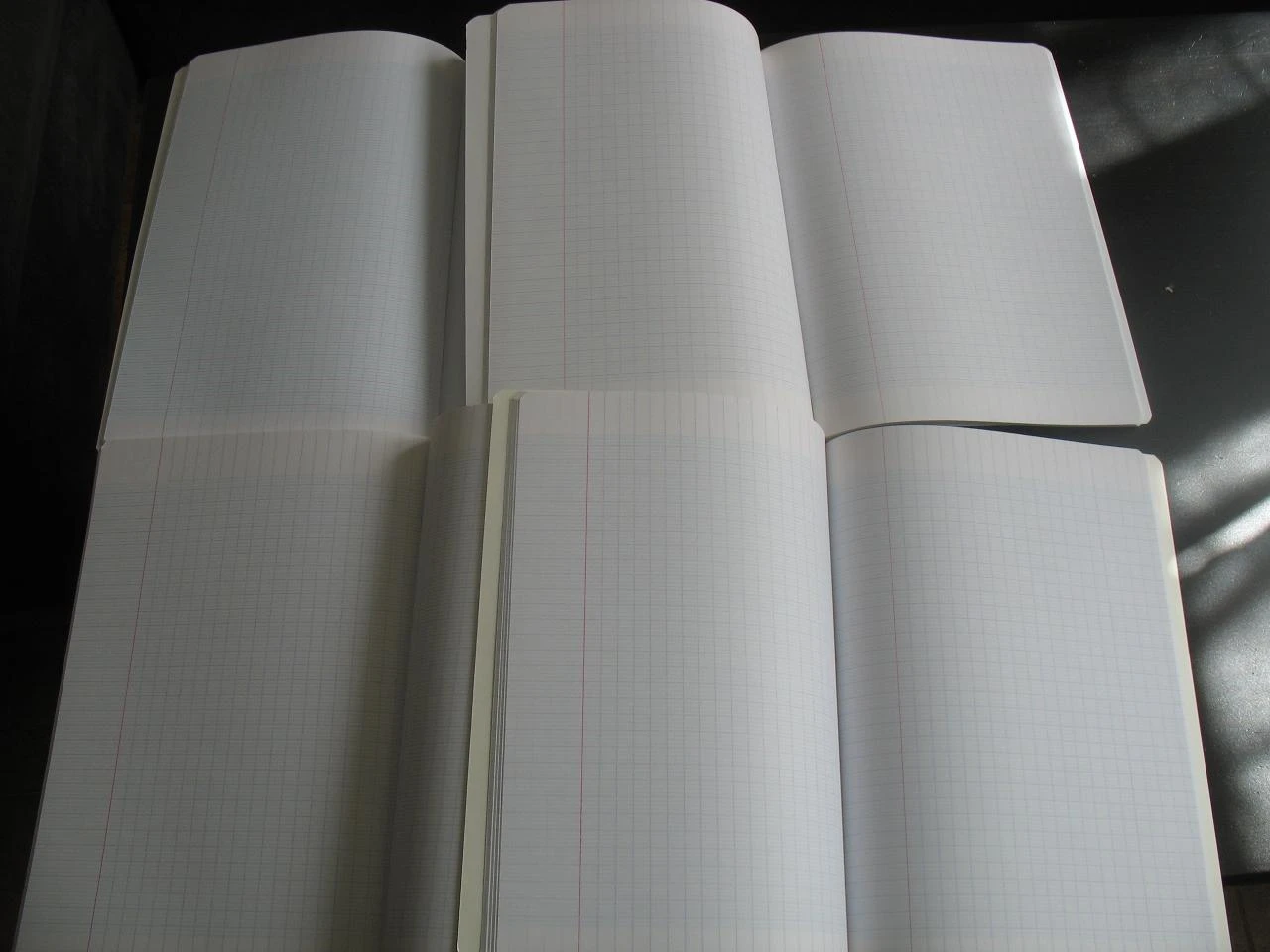 LOTE DE 4 GRANDES CUADERNOS - 96 PÁGINAS - NUEVO - n°51 – photo 3